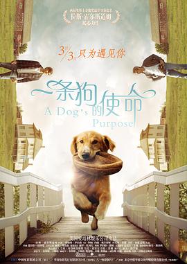 上传测试网站