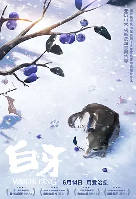日韩在线综合