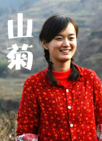 最近免费高清版在线观看