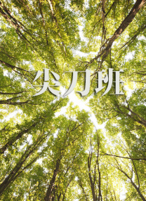 亚洲精品456在线播放