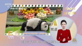 久久久久成人网